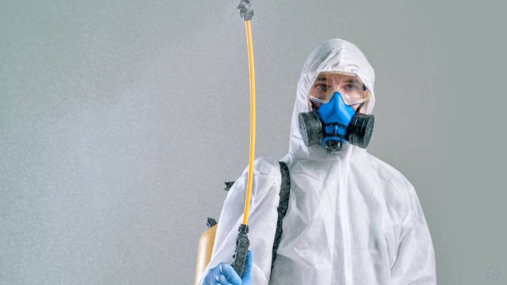 Απολύμανση