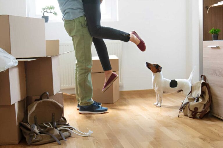 Διαχείριση πολυκατοικιών και Κατοικίδια